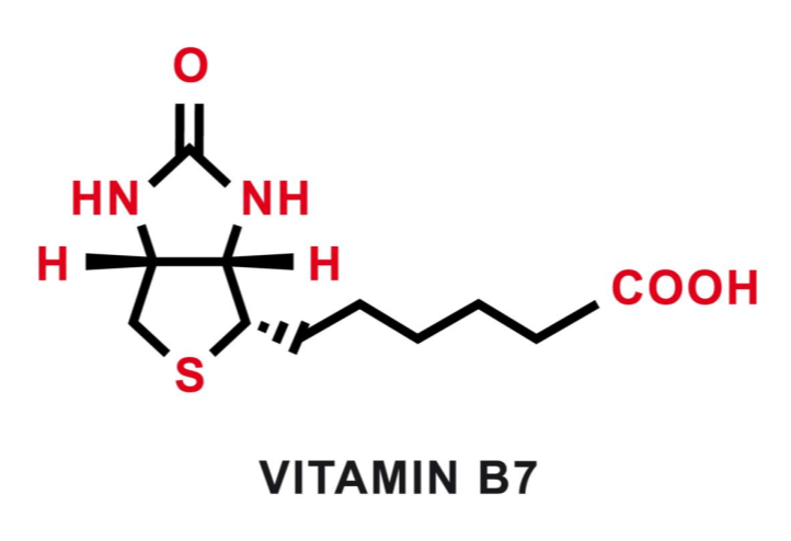 gluco-berry™-ingredient4-biotin